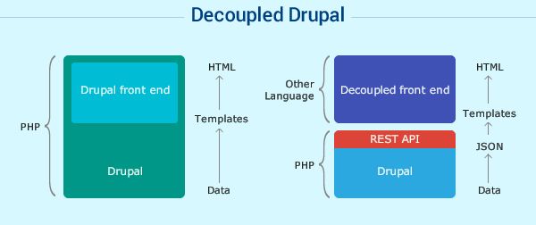 Why Top Enterprises Are Choosing Decoupled Drupal Websites?