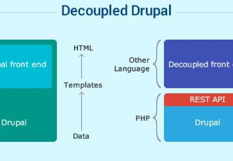 Why Top Enterprises Are Choosing Decoupled Drupal Websites?